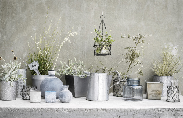 Plantes vertes - H&M Home