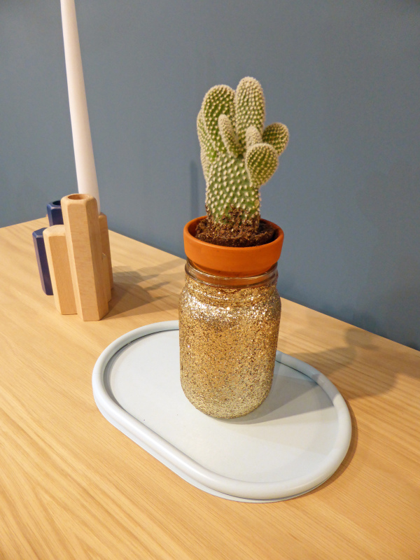 15 façons de mettre en scène ses succulentes et cactus