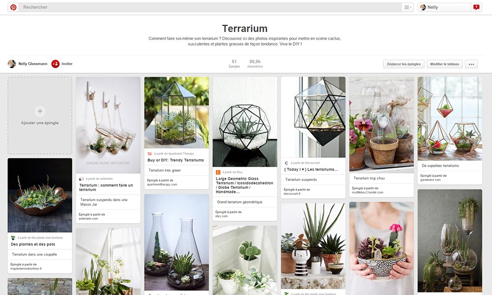 Vu sur Pinterest : idées pour un terrarium déco