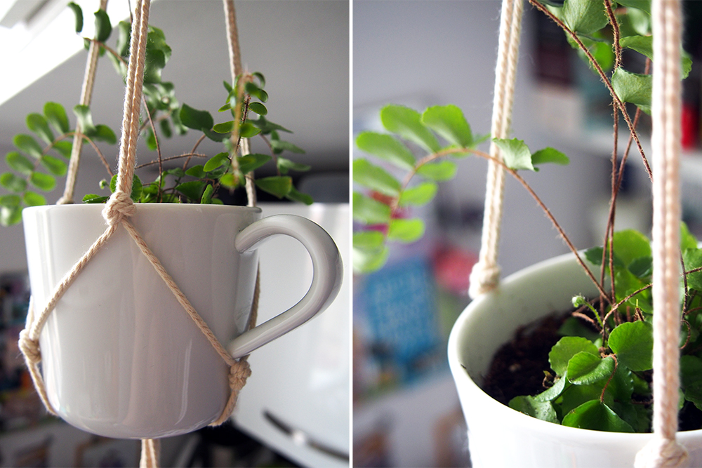 Comment faire une plante suspendue ?