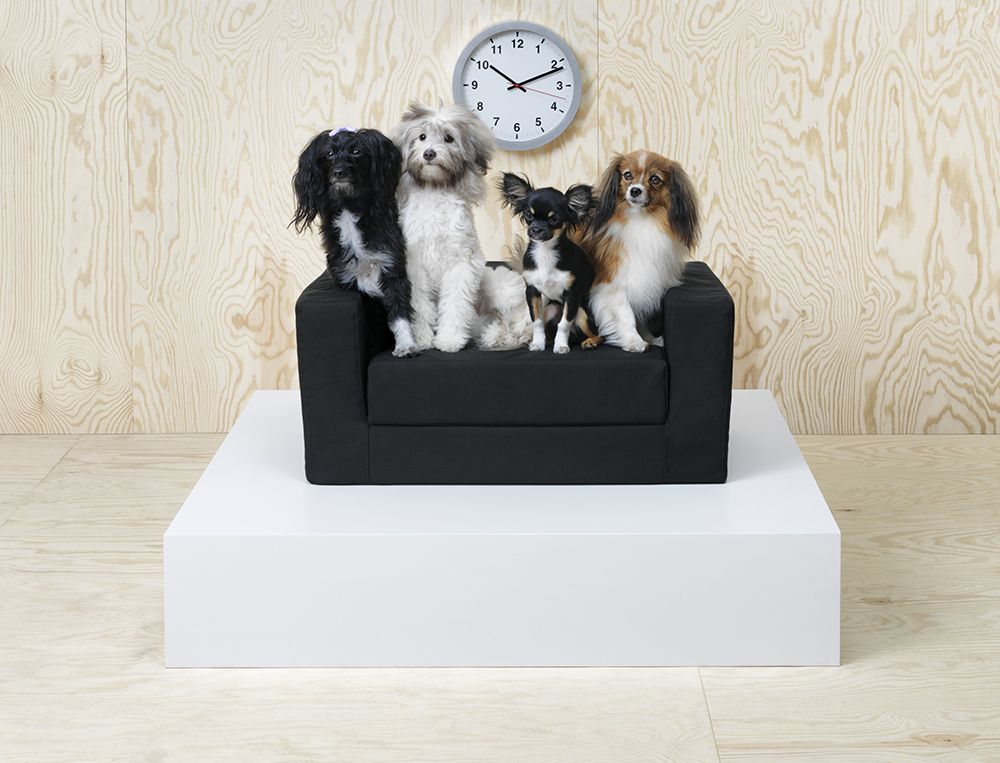 Ikea LURVIG pour chats et chiens