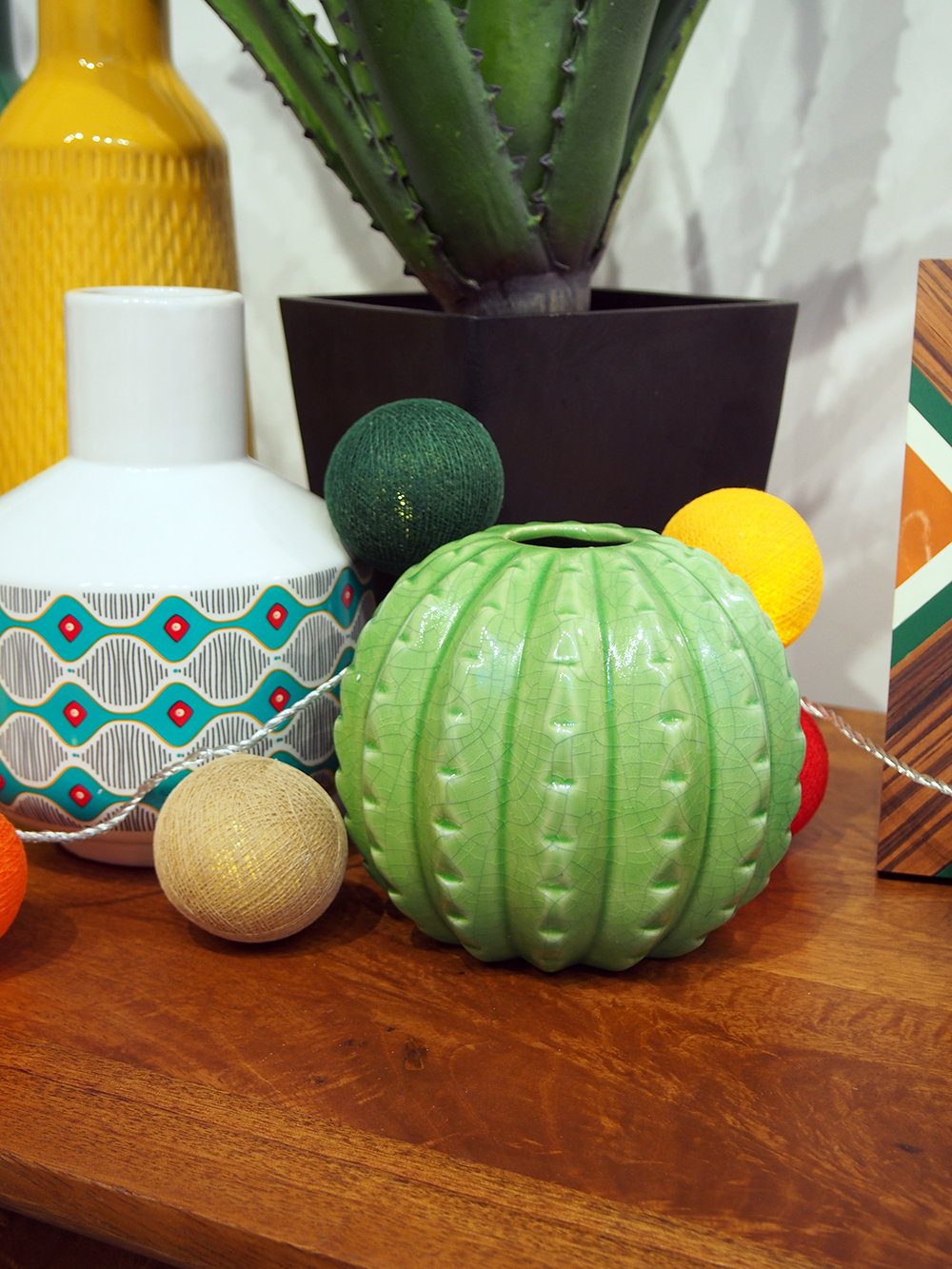 Cactus mania chez Maisons du Monde