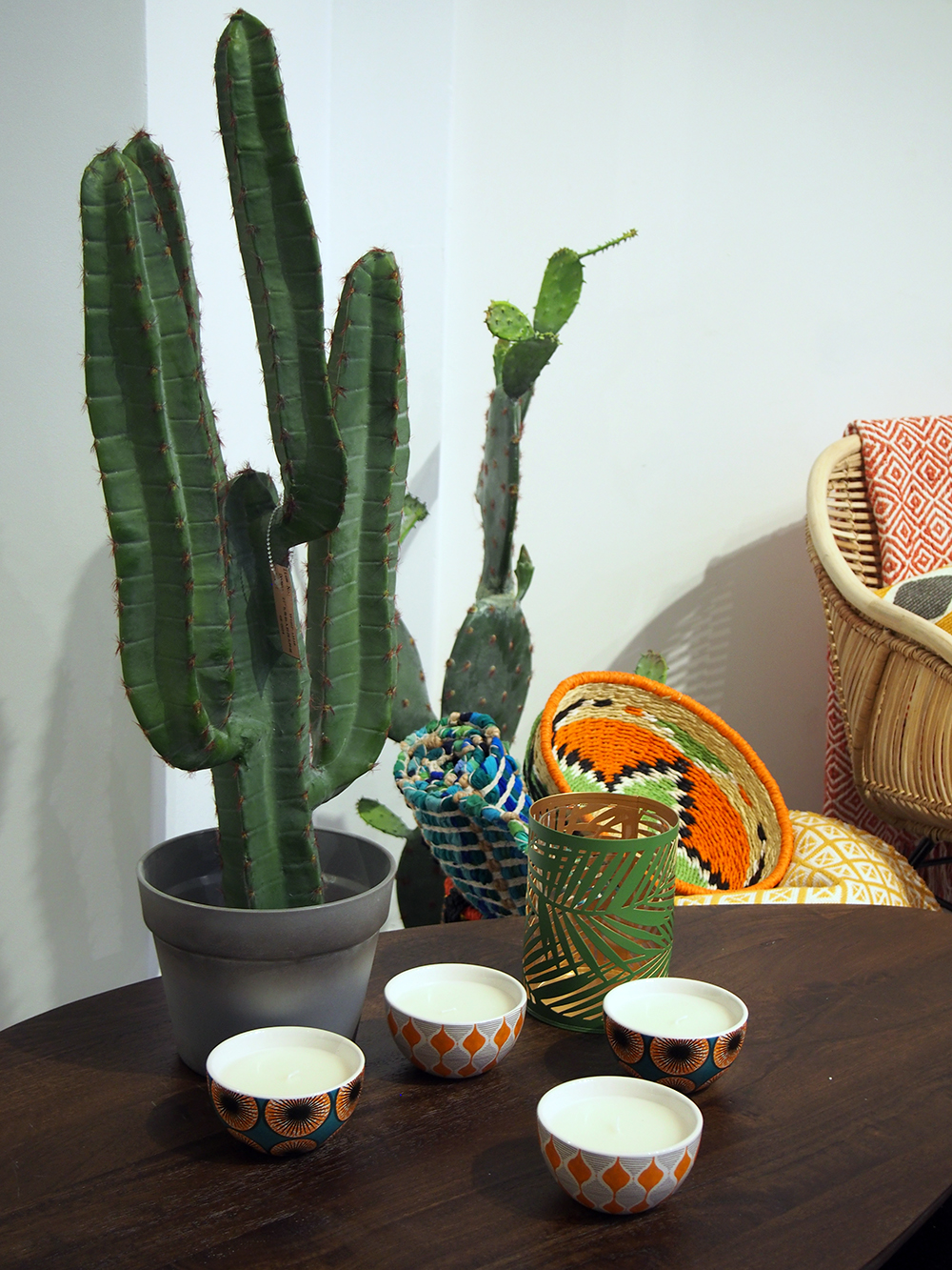 Cactus mania chez Maisons du Monde