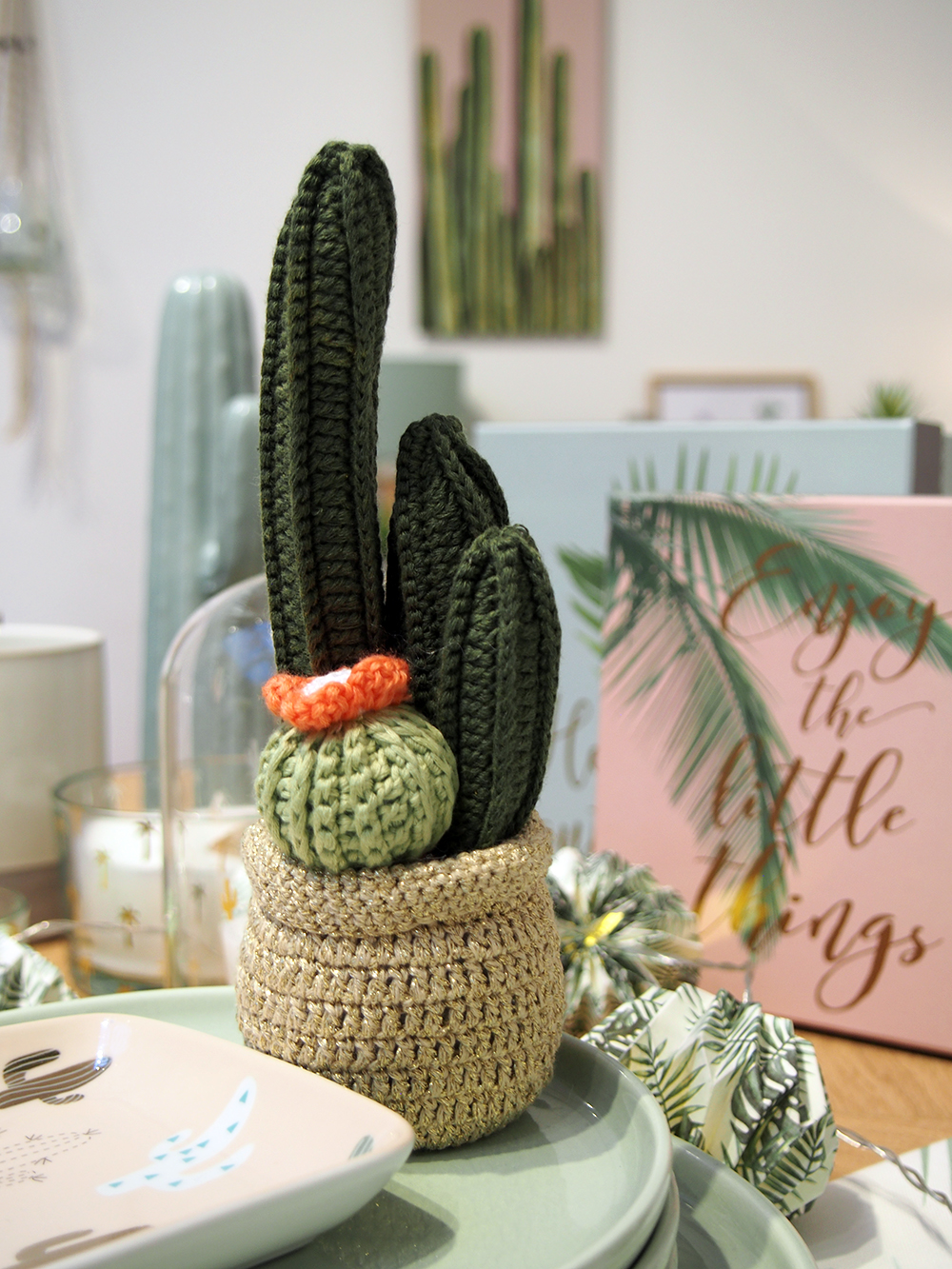 Cactus mania chez Maisons du Monde