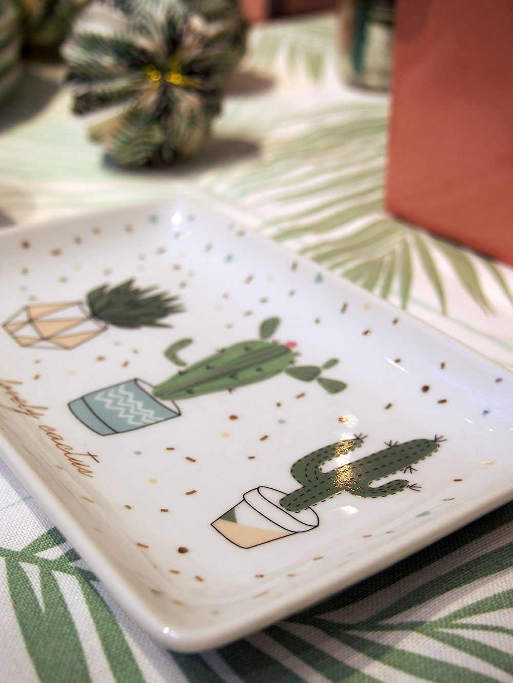 Cactus mania chez Maisons du Monde