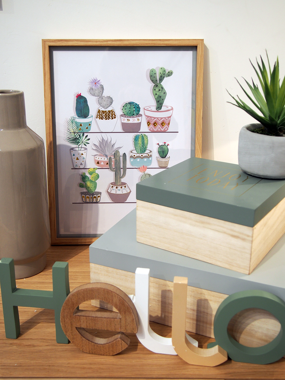 Cactus mania chez Maisons du Monde