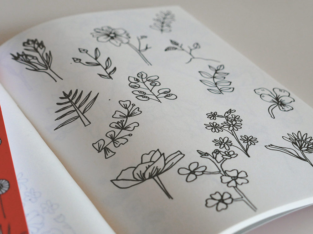 Coup de coeur : 200 plantes à dessiner en deux temps, trois mouvements