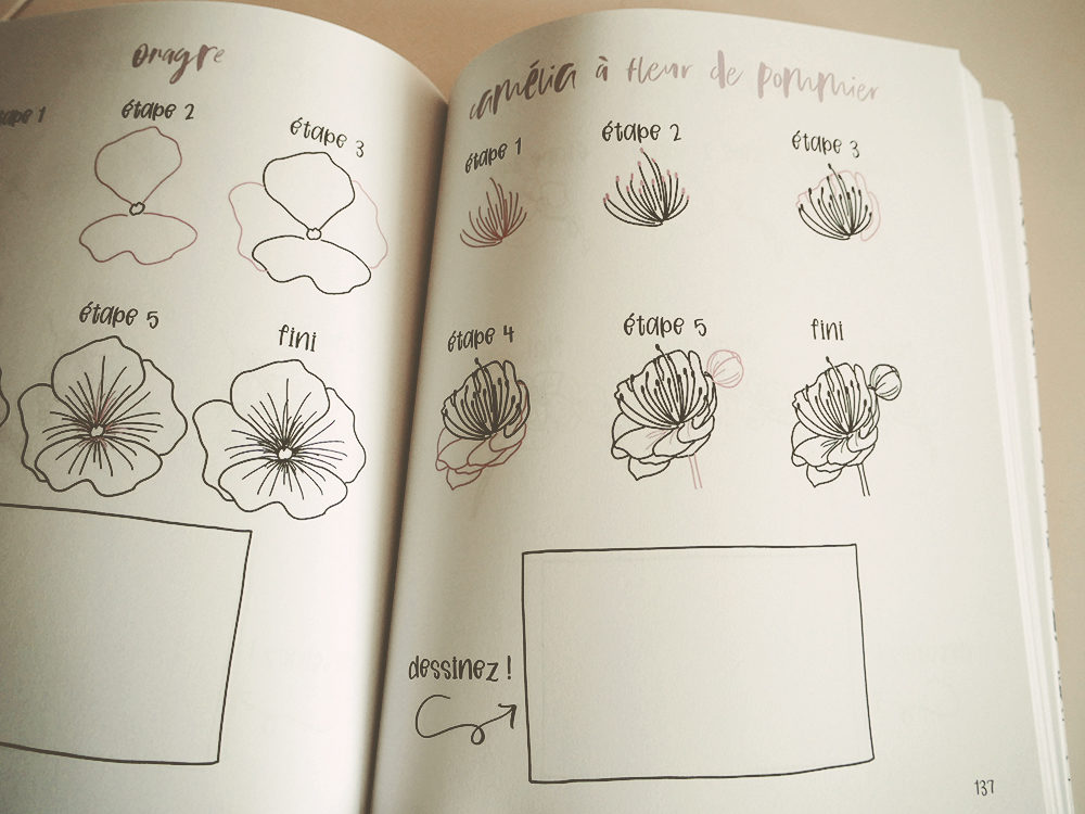 Apprendre à dessiner : les livres faciles - Les Projets