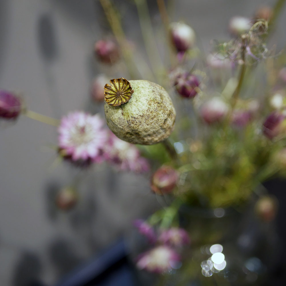 Fleurs séchées au salon Maison & Objet