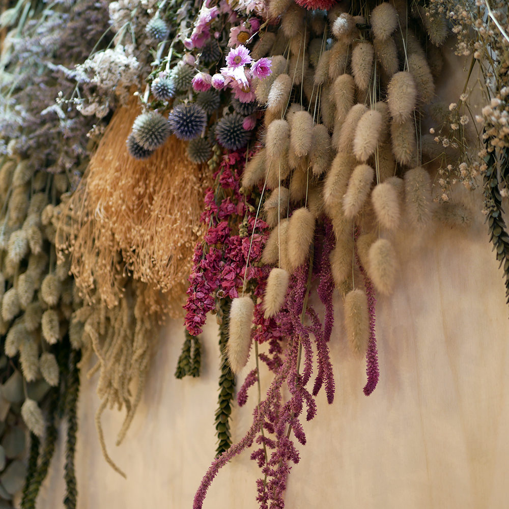 Fleurs séchées au salon Maison & Objet