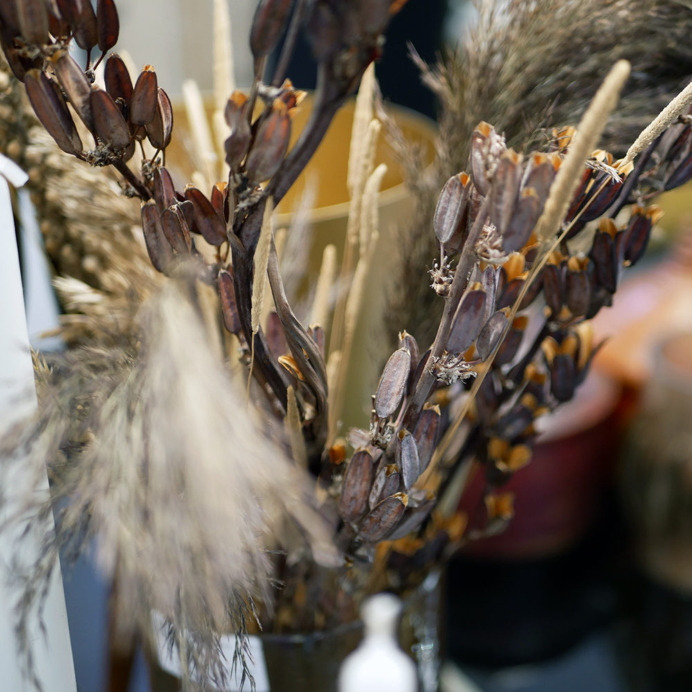 Fleurs séchées au salon Maison & Objet