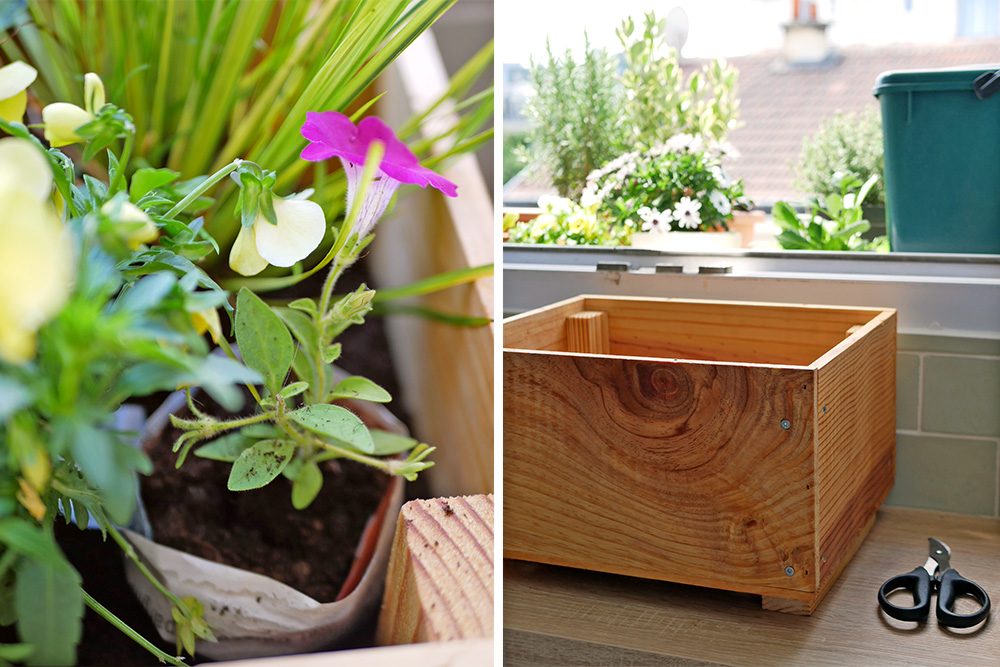 UNE CAISSE À VIN RECYCLÉE EN JARDINIÈRE POUR MON BALCON