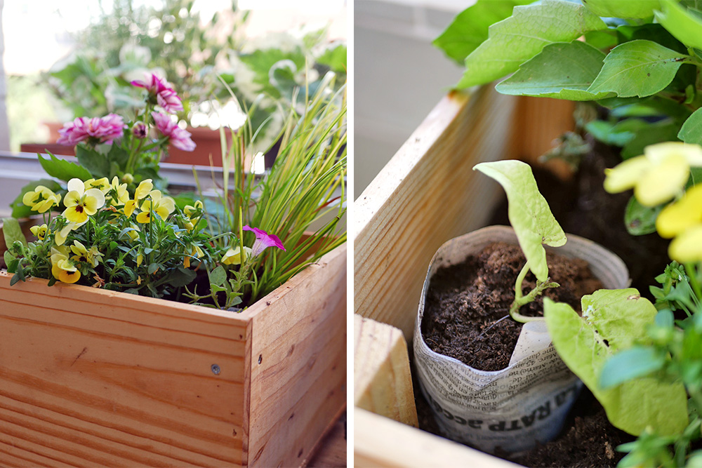 UNE CAISSE À VIN RECYCLÉE EN JARDINIÈRE POUR MON BALCON