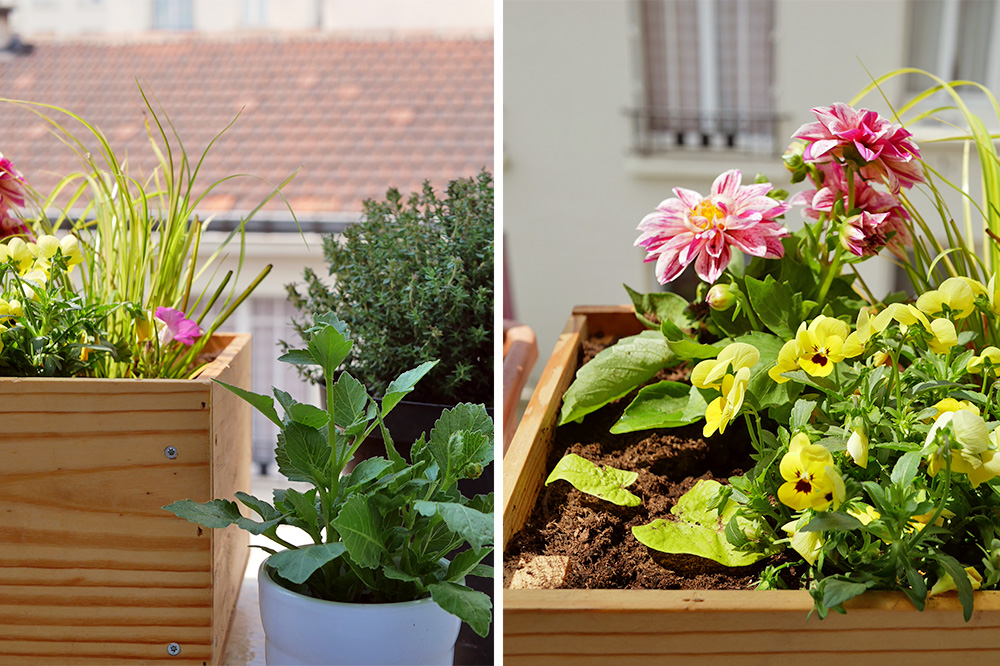 UNE CAISSE À VIN RECYCLÉE EN JARDINIÈRE POUR MON BALCON