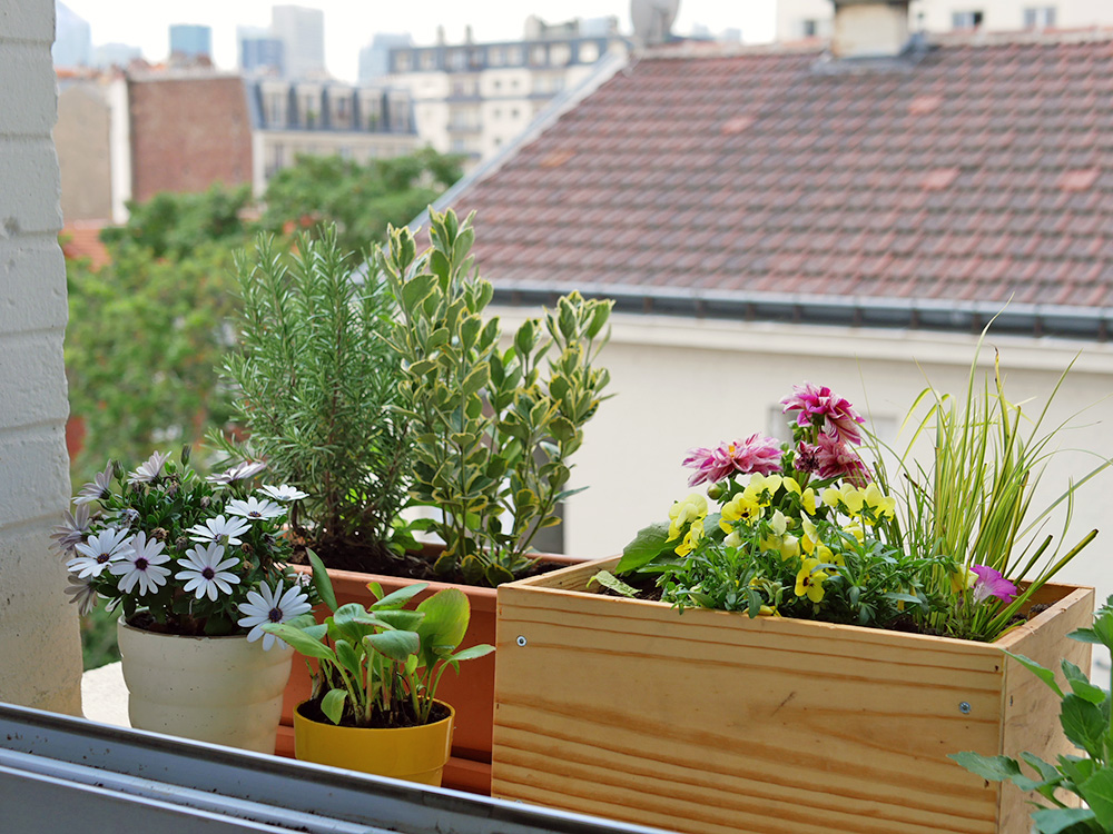 UNE CAISSE À VIN RECYCLÉE EN JARDINIÈRE POUR MON BALCON