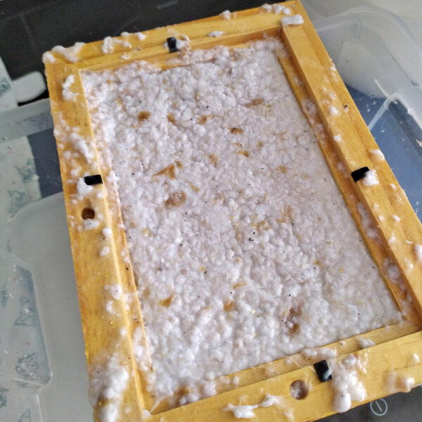 Comment fabriquer du papier soimême ? DIY facile — free download