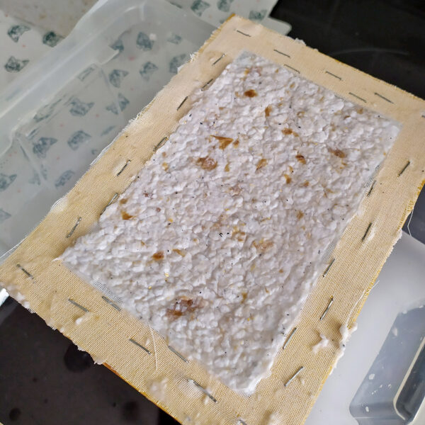 Comment Fabriquer Le Papier Fabriquer Du Papier Maison TOMP — free download