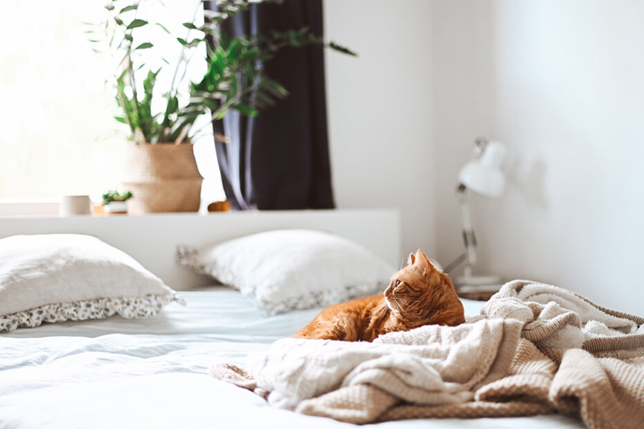 Sommier : tout savoir pour un sommeil au top