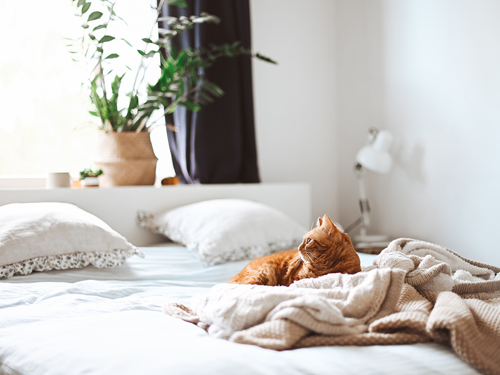 Les meilleurs draps pour chaque type de dormeur