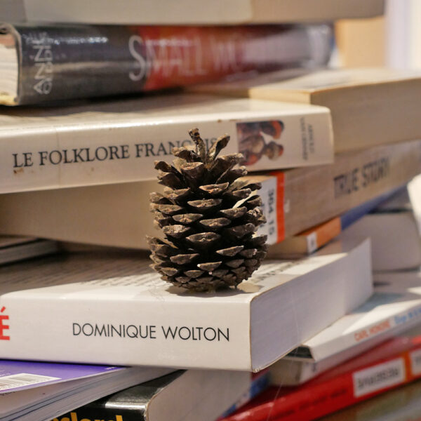 UN SAPIN DE NOËL DIY AVEC DES LIVRES